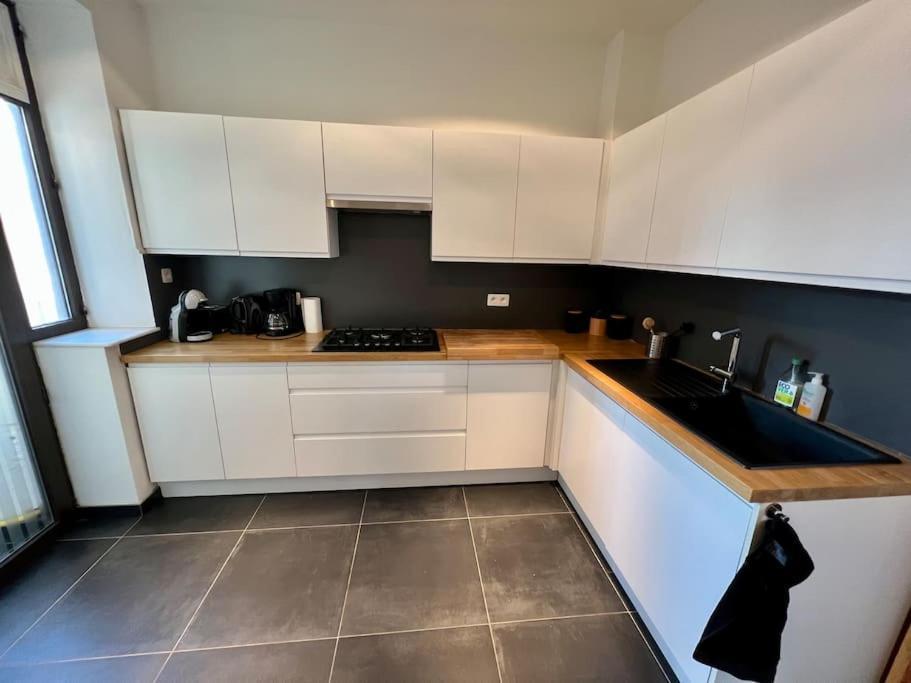 Bellevue - Grand Appartement Pour 5 Sur Les Quais De La Meuse Liège Dış mekan fotoğraf