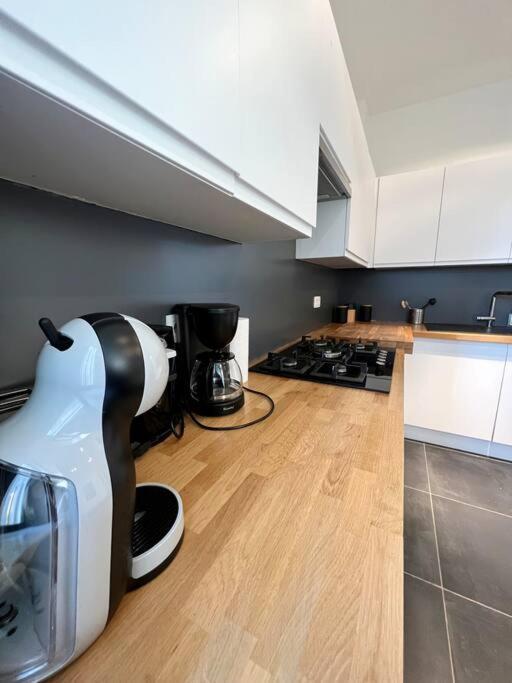 Bellevue - Grand Appartement Pour 5 Sur Les Quais De La Meuse Liège Dış mekan fotoğraf